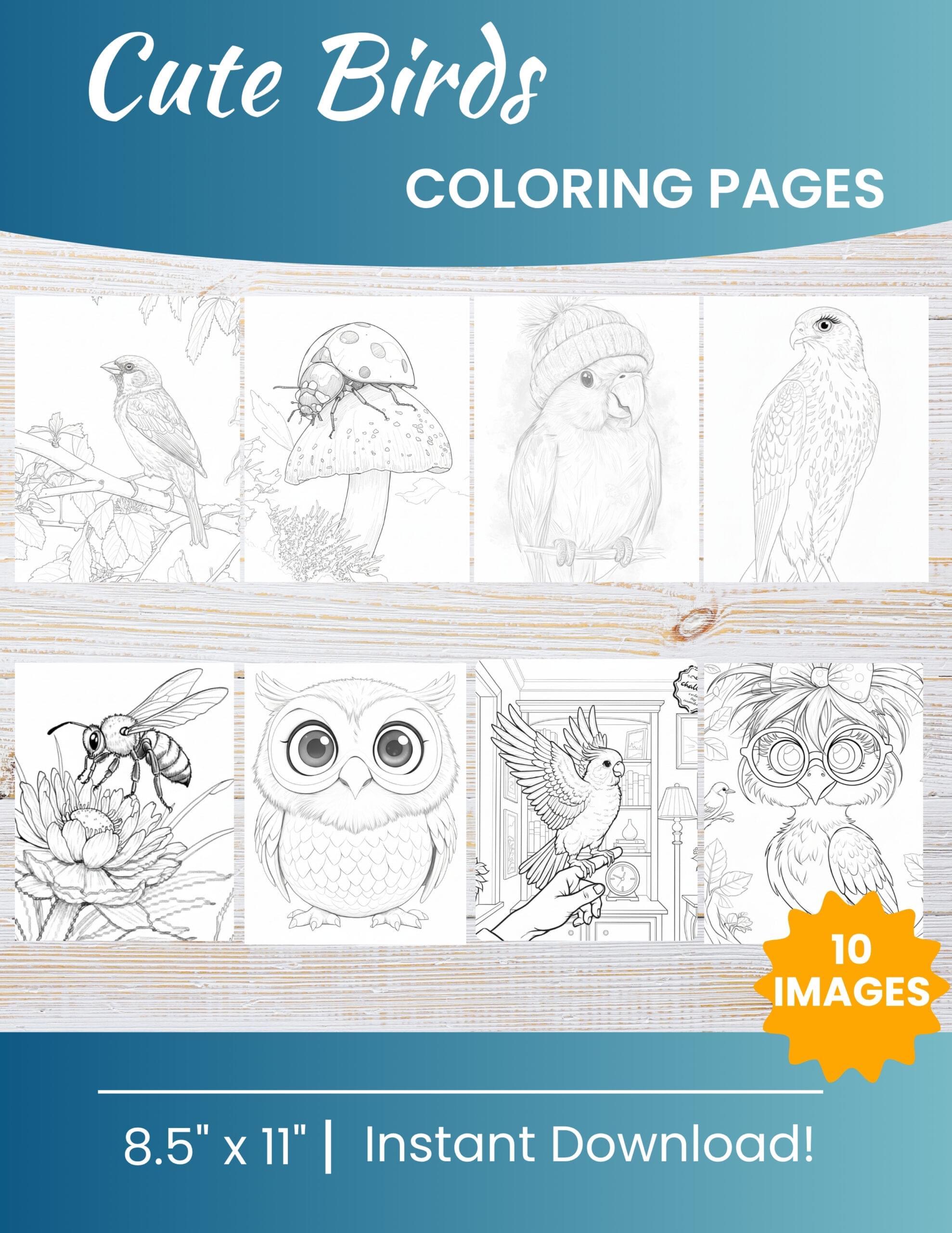Bird Coloring Pages