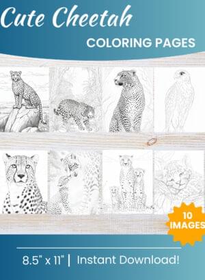 cheetah coloring pages